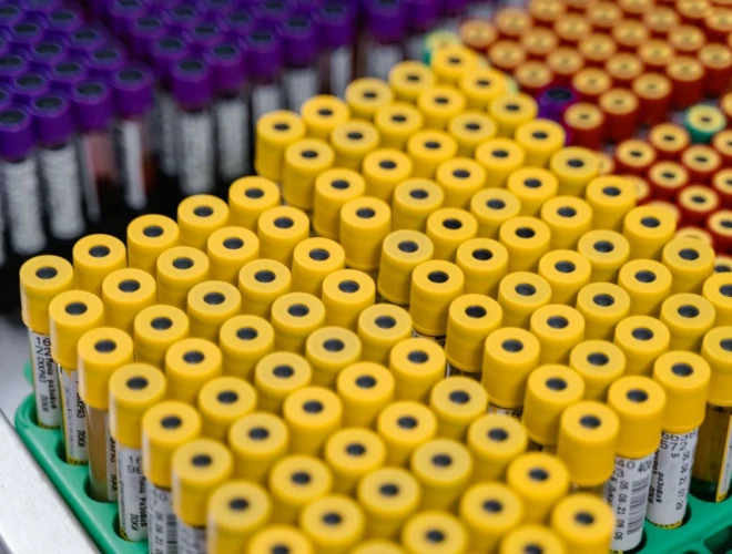 Dobra Praktyka Kliniczna (GCP) – co oznacza dla pacjenta?